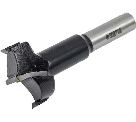 Изображение товара Сверло чашечное (30x70 мм; Z=2+2; S=10 мм; RH) ROTIS 442.3070R