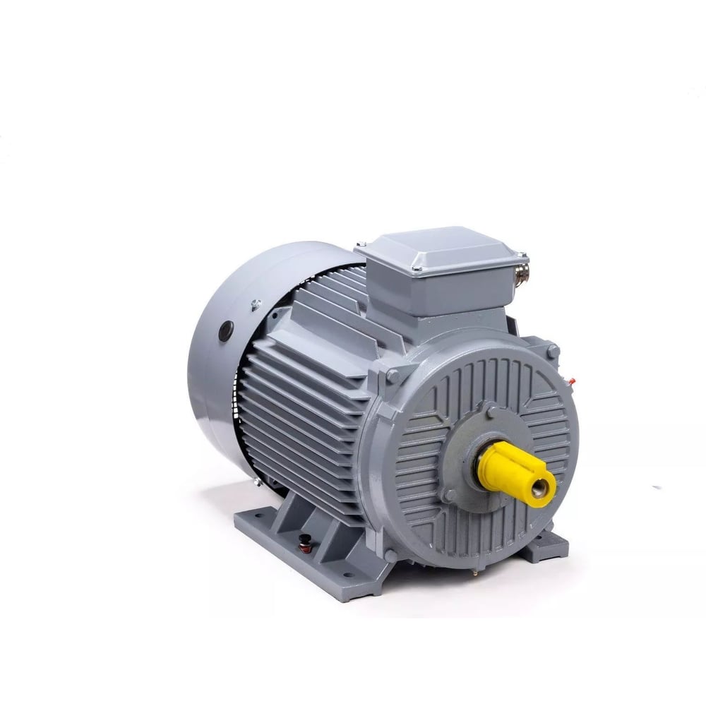 Изображение товара Электродвигатель общепромышленный ESQ PR 250 M4 GST-Б1-S12-IE2 IM 1001 90/1500 01.01.223807