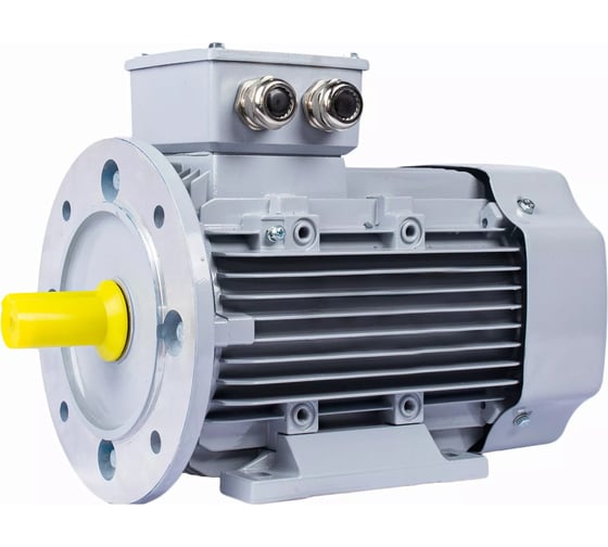 Изображение товара Электродвигатель общепромышленный ESQ PR 90 L2 GST-Б1-S12-IE2 IM 2081 3/3000 01.01.224036