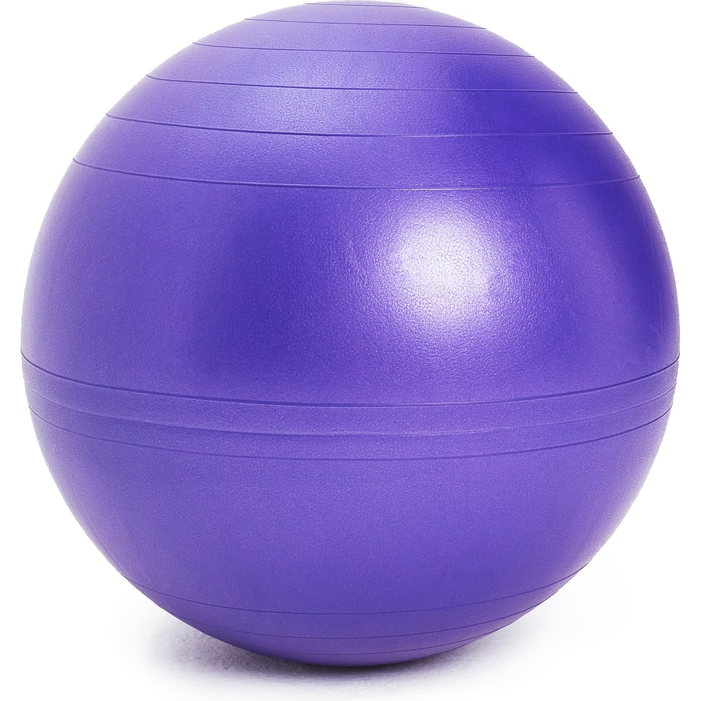 Изображение товара Гимнастический мяч SISSEL SI Securemax Exercise Ball диаметр 65 см темно-фиолетовый