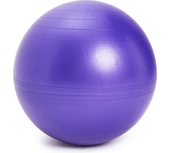 Изображение товара Гимнастический мяч SISSEL SI Securemax Exercise Ball диаметр 65 см, темно-фиолетовый 160.010 00-00-00