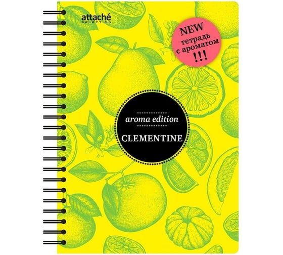 Изображение товара Бизнес-тетрадь Attache Selection ароматизированная 100л, клетка, А5, Клементин, спираль, тонированный блок 84906 737348