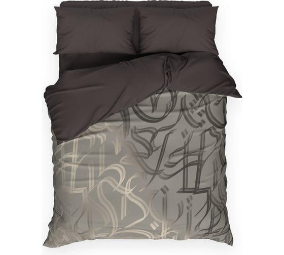Изображение товара Комплект постельного белья Этель евро, Graffiti 200*217 см, 220*240 см, 50*70 см 2 шт, поплин 125 г/м2, хлопок 100% 10706914