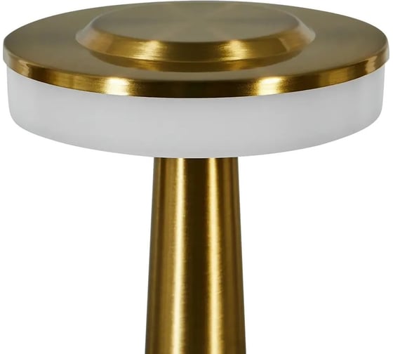 Изображение товара Лампа настольная светодиодная аккумуляторная TENDENZA TZ_LL012