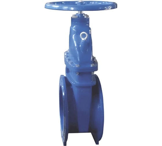 Изображение товара Задвижка Giacomini чугун аналог МЗВГ Ду80 Ру16 120C R55FLY008 107-4843