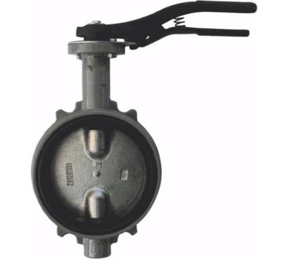 Изображение товара Затвор поворотный Giacomini чугун EPDM Ду200 Ру16 д/чугун R59W R59WX020 107-5442