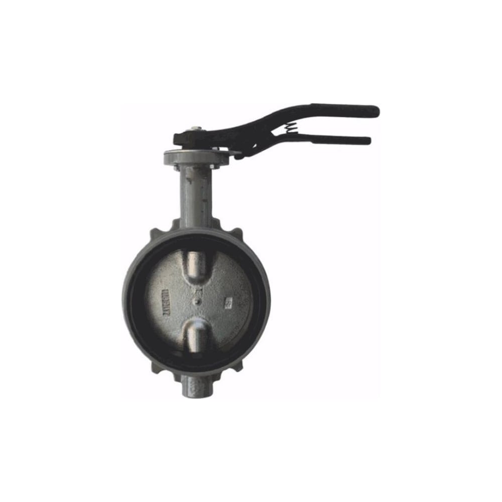 Изображение товара Поворотный затвор Giacomini чугун EPDM Ду300 Ру16 R59WX030