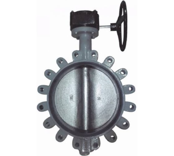 Изображение товара Затвор поворотный Giacomini чугун EPDM Ду350 Ру16 редуктор, диск чугун R59FL R59FLX035 107-5420