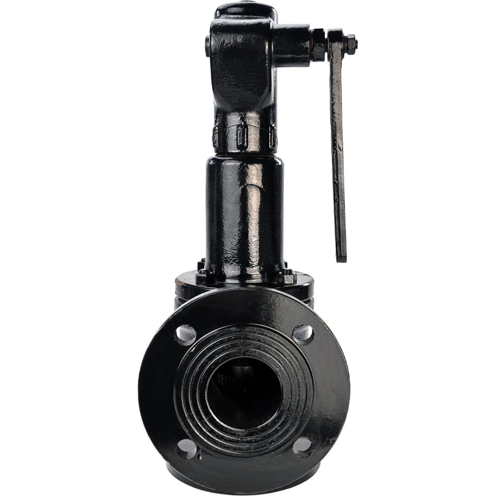 Изображение товара Предохранительный клапан DN.ru SAFE 7011 Ду200/250 Ру16 пружинный фланцевый сталь