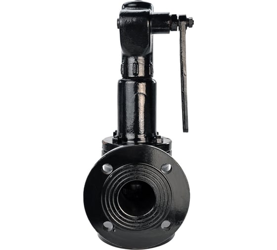 Изображение товара Предохранительный клапан DN.ru SAFE 7011 Ду100/125 Ру16 с настройкой 10 бар D120-01379