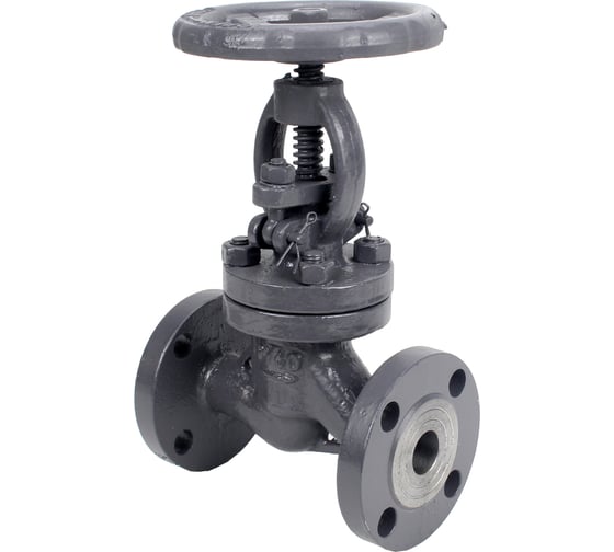 Изображение товара Клапан запорный сальниковый DN.ru 15с22нж WCB-WCB-M-F-S Ду15 Ру40 D090-02865