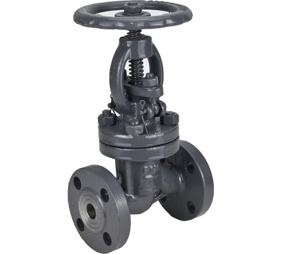 Изображение товара Клапан запорный сальниковый DN.ru 15с65нж WCB-WCB-M-F-S Ду150 Ру16 D090-02863