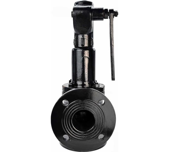 Изображение товара Предохранительный клапан DN.ru SAFE 7011 Ду100/125 Ру16 с настройкой 0.6 бар D120-01319