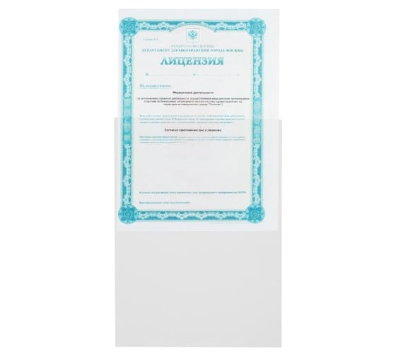 Изображение товара Папка Attache файл-вкладыш А4 30 мкм, без перфорацией, 100 шт 970054