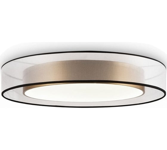 Изображение товара Потолочный светильник Freya Zoticus FR6005CL-L48G