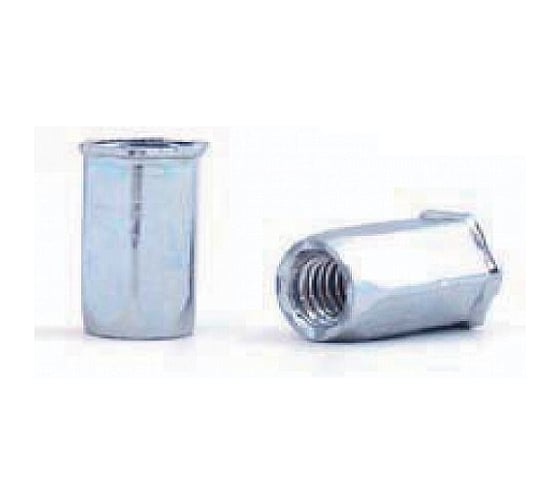 Изображение товара Заклепка-гайка ОПМ 110019 М10 zn, шестигр. уменьш. бурт., 100 шт УТ000107291