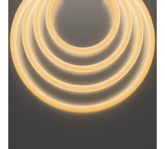 Изображение товара Гибкий неон MAYTONI Nemo D25 24В 14,4Вт/м 2700К IP65 5м 20300