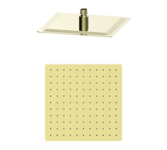 Изображение товара Тропическая лейка для душа Wonzon & Woghand брашированное золото WW-88DP02-BG