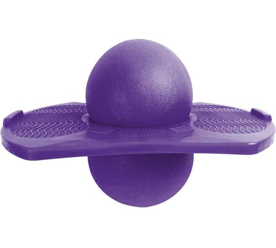 Изображение товара Мяч Nonstopika Action фиолетовый NMY6