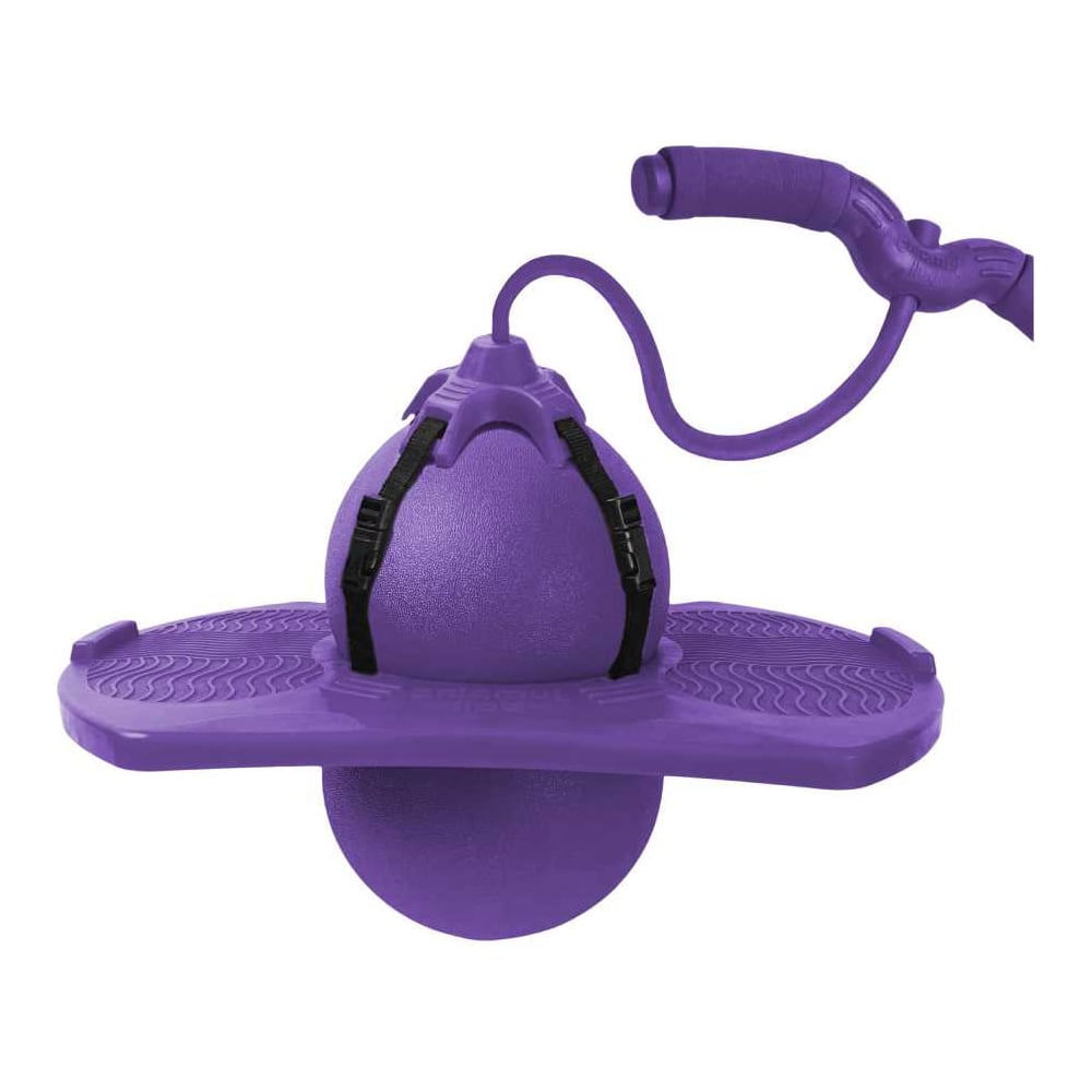 Изображение товара Мяч Nonstopika Action фиолетовый с держателем диаметр 39 см спортигровой