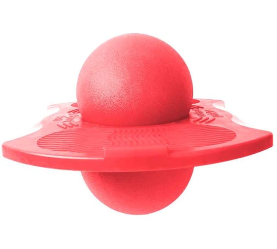 Изображение товара Мяч Nonstopika Action розовый NMY5