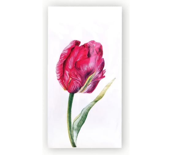 Изображение товара Бумажные салфетки EUROHOUSE Прекрасный тюльпан 1/8 сложение, 33х33 см, 2-х-слойные, 20 шт 25175