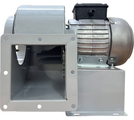 Изображение товара Вентилятор радиальный ERA BURAN PRO 140 220V Пр0 2 полюс PRO BURAN PRO 140 2K M R