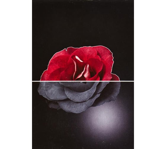 Изображение товара Блокнот 180 шт в упаковке Attache Скрепка А7 32л. клетка офис. БК 140354