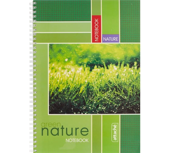 Изображение товара Общая тетрадь Attache 120 листов, клетка, А4, спираль, обложка мелованный картон 15145