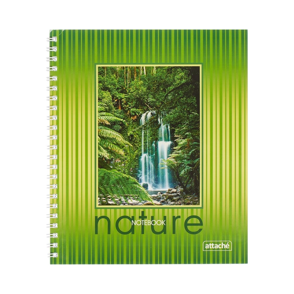 тетрадь 48 листов а5 клетка hatber. тетрадь общая 3. общая тетрадь леопард. общая тетрадь. набор тетрадей 48 листов клетка.