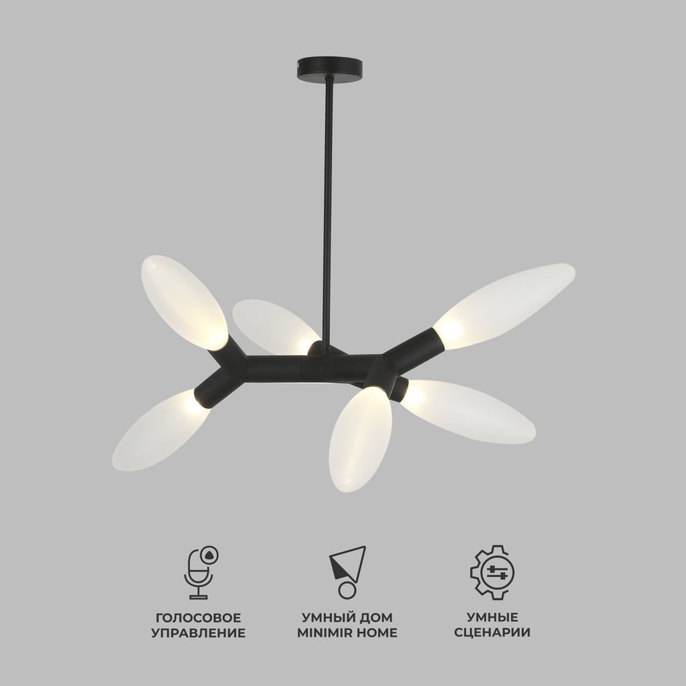 Изображение товара Потолочный светильник Eurosvet 30180/6 Черный индустриальный стиль