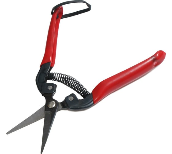 Изображение товара Садовые ножницы Greengo 8", 20 см, пластиковые ручки 2710270