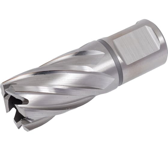 Изображение товара Сверло по металлу корончатое D.BOR с хв. Weldon 19 мм (3/4''), HSS-Co 20х30/63 мм D-CD-CO8-030-020-W