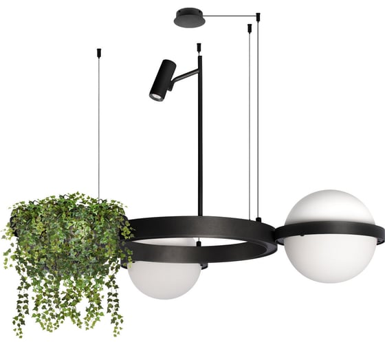 Изображение товара Подвесной светильник LOFT IT Jardin 10121/2