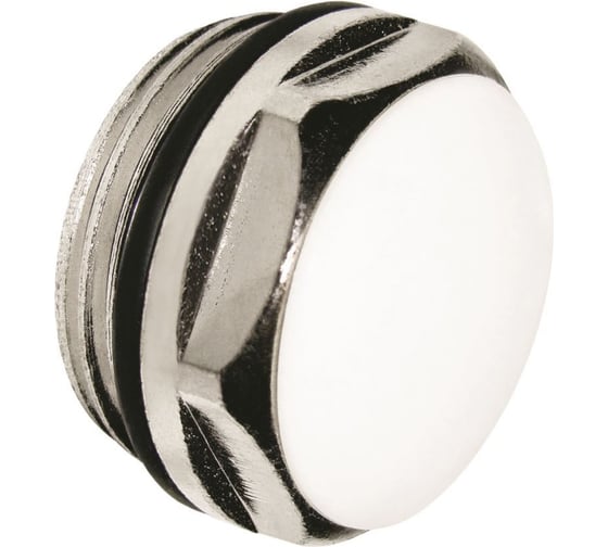 Изображение товара Заглушка на переходник для радиатора AQUALINK 3/4 (Цена за упаковку 10 шт.)  арт. 4586