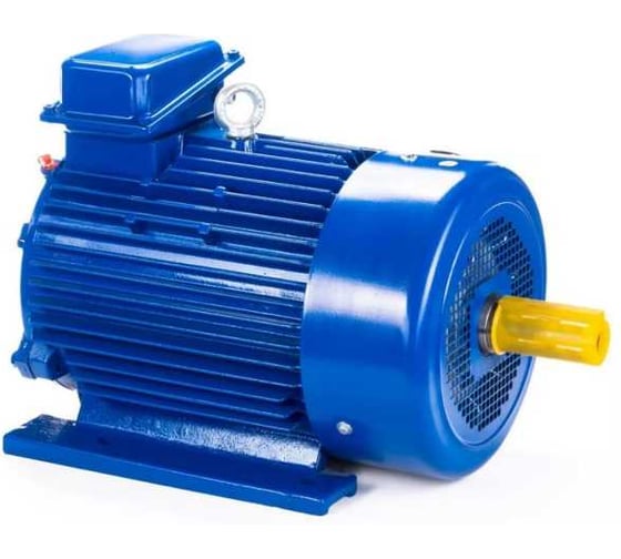 Изображение товара Электродвигатель Элком 5МТКН 200 LB8 22/750 IM 1003 01.03.02.000123