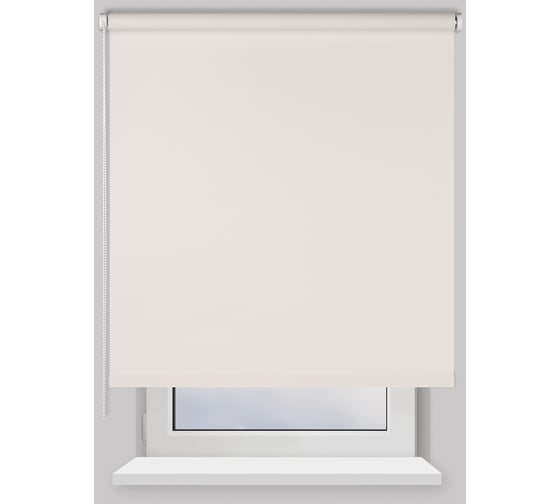 Изображение товара Рулонная штора PRAKTO BLACKOUT Dublin 100х160 см, белый 7799668