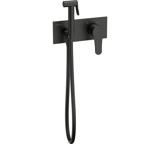 Изображение товара Встраеваемый смеситель c гигиеническим душем TESKA Elsa Pro, черный BTK6408