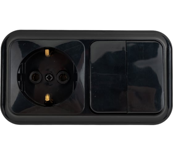 Изображение товара Блок Bylectrica 2 выключателя + розетка с заземляющим контактом ОУ, серия ПРАЛЕСКА, 2В-РЦ-529 черный