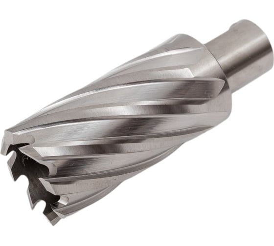 Изображение товара Сверло корончатое HSS по металлу (31х55/88 мм; Weldon 19) D.BOR CD-HSS-055-031-W
