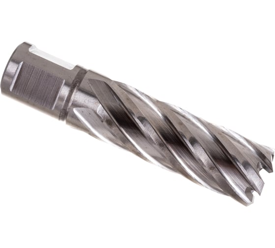 Изображение товара Сверло корончатое HSS по металлу (20х55/88 мм; Weldon 19) D.BOR CD-HSS-055-020-W