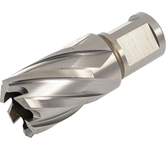 Изображение товара Сверло корончатое HSS по металлу (23х30/63 мм; Weldon 19) D.BOR CD-HSS-030-023-W