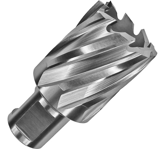 Изображение товара Сверло корончатое HSS по металлу (49х30/63 мм; Weldon 19) D.BOR CD-HSS-030-049-W