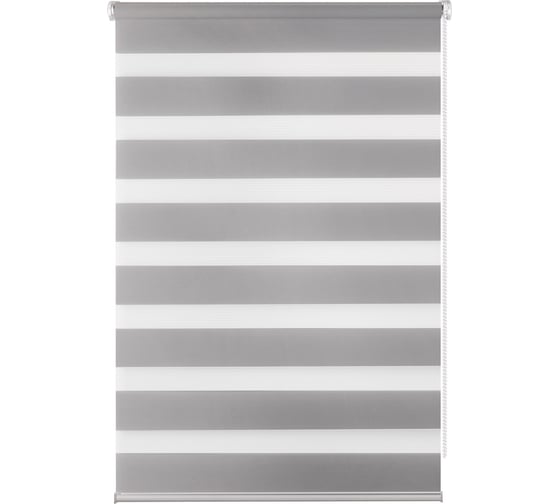 Изображение товара Рулонная штора PRAKTO Day&Night 60х160 см, серый 7791365