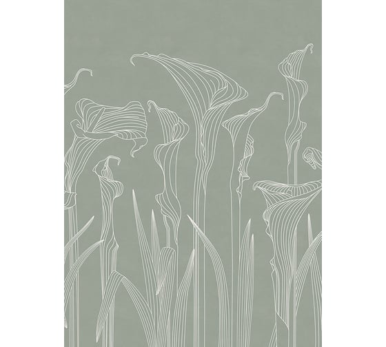 Изображение товара Фотообои ООО Ортограф KALLA LILIES 1,99x2,7 OF_34514