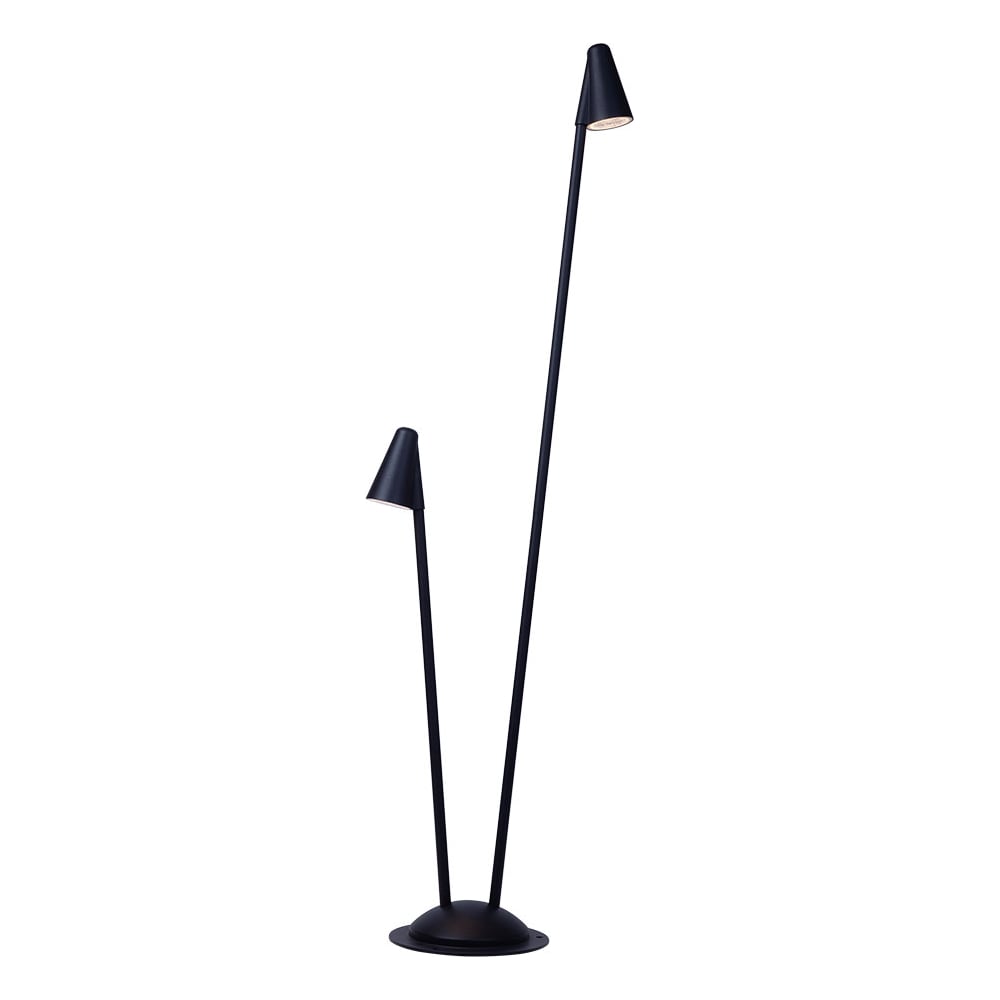 Изображение товара Ландшафтный светильник ARTE LAMP MUPHRID A4109PA-2BK с IP65 для уличного дизайна