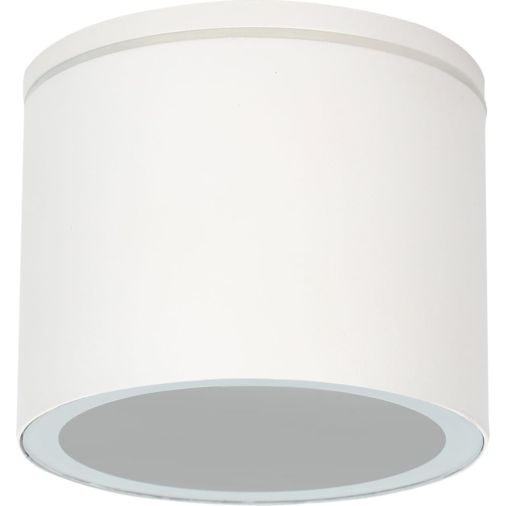 Изображение товара Уличный потолочный светильник ARTE LAMP PIAUTOS A1913PF-1WH с защитой IP54 для улиц