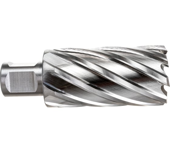 Изображение товара Фреза кольцевая HSS (32x55 мм; Weldon 19) ROTORICA RT.4215032