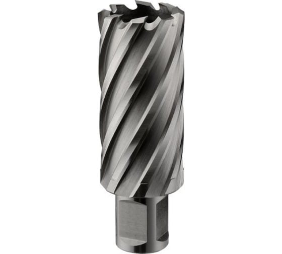 Изображение товара Фреза кольцевая HSS (39x55 мм; Weldon 19) ROTORICA RT.4215039