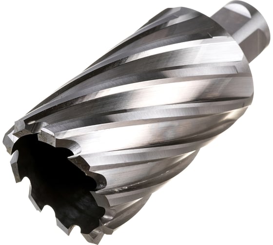 Изображение товара Фреза кольцевая HSS (40x55 мм; Weldon 19) ROTORICA RT.4215040